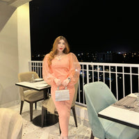 Mesh Sleeves Dress _ Peach