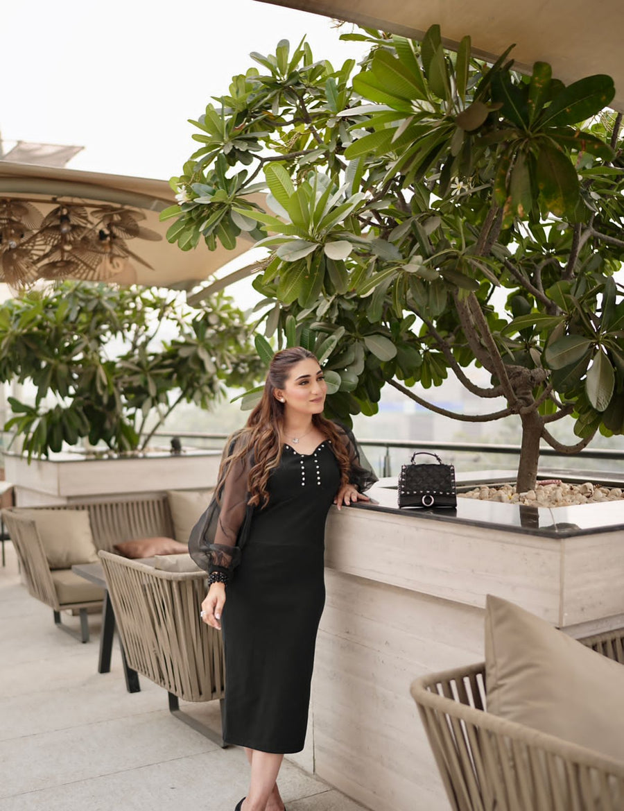 Mesh Sleeves Dress _ Black