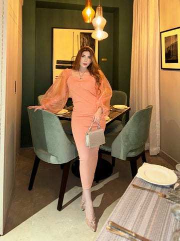 Mesh Sleeves Dress _ Peach