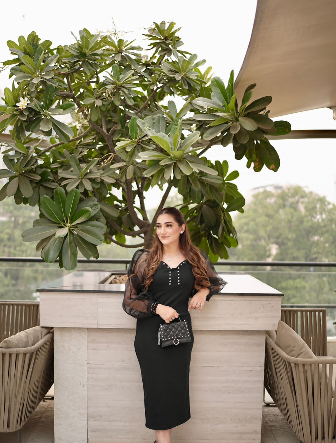 Mesh Sleeves Dress _ Black